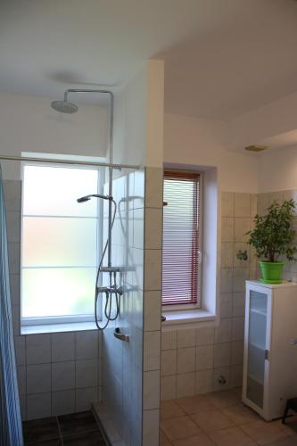 a shower with a glass door in a bathroom at Zamárdi Trafóház in Zamárdi