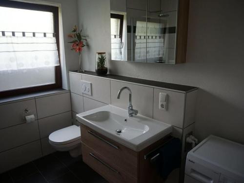 La salle de bains est pourvue d'un lavabo, de toilettes et d'un miroir. dans l'établissement Holiday apartment Brandl Haus 92, à Arrach