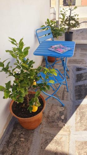 a blue table and a blue chair and some plants at Dimora salenTina in Tricase