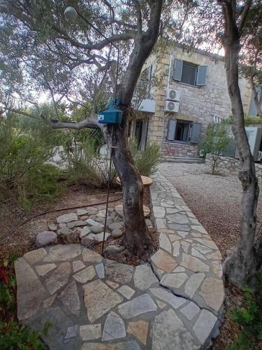 Κήπος έξω από το Sofia's summer house