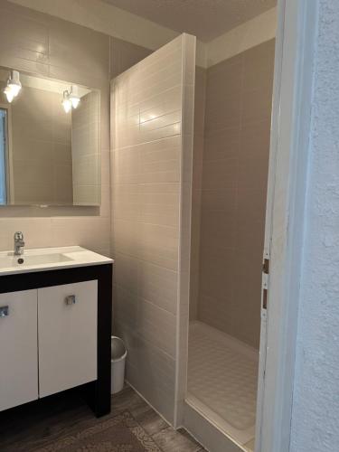 een badkamer met een douche en een wastafel bij Appartement dans résidence avec piscine in Saint-Tropez