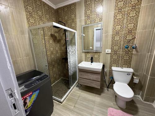 La salle de bains est pourvue de toilettes, d'une douche et d'un lavabo. dans l'établissement Quite apartment with positive vibes, à New cairo