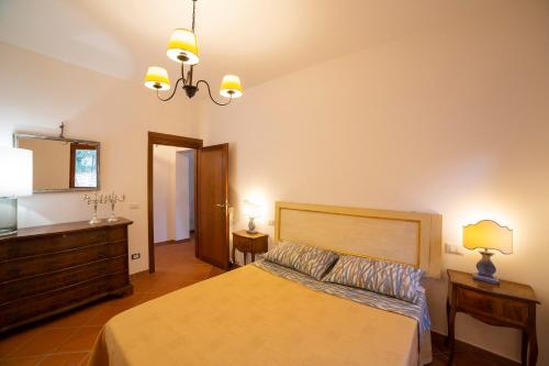 Foto Casa Vacanze L'olivo al Borghettaccio 2