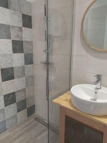 une salle de bain avec un lavabo et une douche en verre dans l'établissement Appt bord de mer /rez de jardin, à Notre-Dame-de-Monts