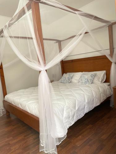 'One tree' Apartment, Old town Zadar