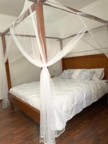 'One tree' Apartment, Old town Zadar