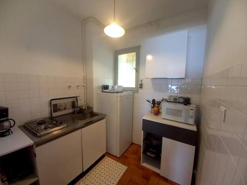 una piccola cucina con lavandino e forno a microonde di Solenzara charmant appartement vue mer panoramique a Sari Solenzara