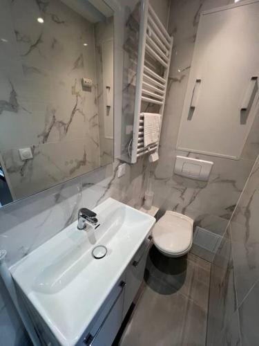 une salle de bain blanche avec un lavabo et des toilettes dans l'établissement Esprit Italie, joli studio au coeur de Mulhouse, à Mulhouse