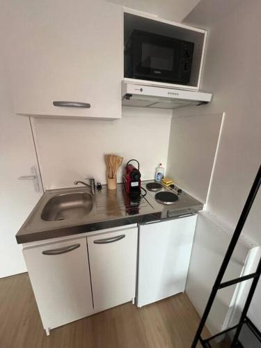 une petite cuisine avec un évier et un micro-ondes dans l'établissement Esprit Italie, joli studio au coeur de Mulhouse, à Mulhouse