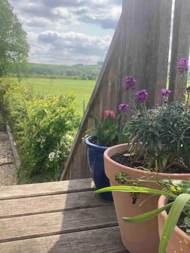 two pots of plants sitting on a wooden balcony at The Nest BnB 'mini suite' in Dorchester on thames