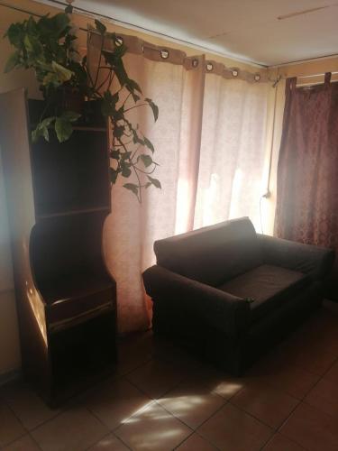 sala de estar con sofá y maceta en Cabaña Carretera internacional, en Los Andes