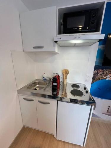 une petite cuisine avec un évier et un micro-ondes dans l'établissement Esprit Grèce, joli studio au coeur de Mulhouse, à Mulhouse