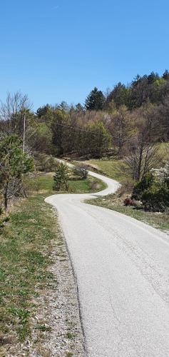 a winding road in the middle of a field at Zlatiborska Brvnara Rebic Mountain House in Zlatibor