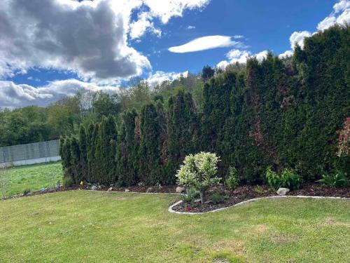 a landscaped yard with a hedge and a grass field at Charmantes Ferienhaus - Velden in Fahrendorf