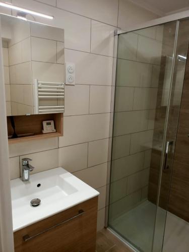 une salle de bain avec un lavabo et une douche dans l'établissement 06BT - Nice studio close to everything, à Nice