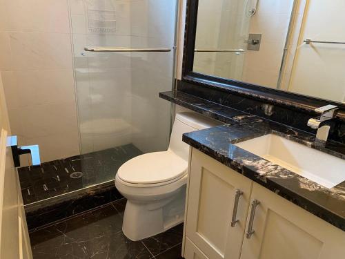 a bathroom with a toilet and a shower and a sink at Private cozy suite near Dyke and Fisherman's Wharf in Richmond