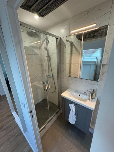une salle de bain avec une douche, un lavabo et un miroir dans l'établissement Studio Saint Cyr, à Saint-Cyr-lʼÉcole