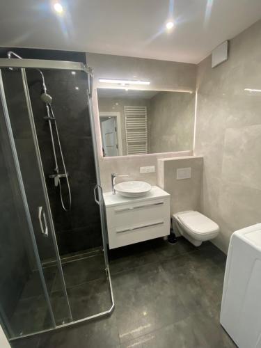 a bathroom with a shower and a sink and a toilet at ApartamentAugust in Zielona Góra