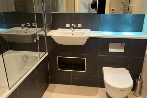 a bathroom with a sink and a toilet and a mirror at Cozy Living with Balcony View in Croydon