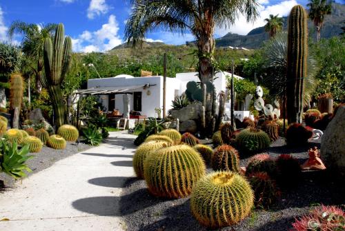 a garden of cacti and plants in front of a house at Villa Ravino Secret Retreat in Ischia