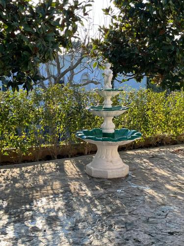 Κήπος έξω από το Casa Rina