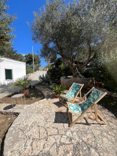 Κήπος έξω από το Casa Rina