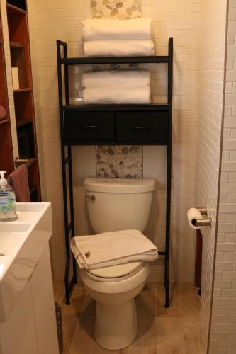 uma casa de banho com WC e uma prateleira com toalhas em Charming Garden Apartment em University Place