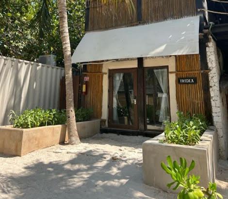 a building with a door and two plants in front of it at Alquimia Hotel Boutique in Tulum