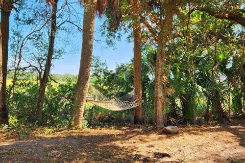 a hammock hanging from a tree in a forest at A Secluded Quiet Oasis with Beach Pass in St. Helena Island