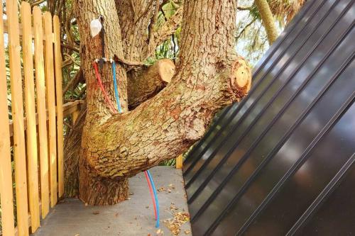 a tree that is leaning against a fence at A Secluded Quiet Oasis with Beach Pass in St. Helena Island