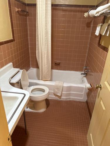 La salle de bains est pourvue de toilettes, d'une baignoire et d'un lavabo. dans l'établissement Economy Inn - Cullman, à Cullman