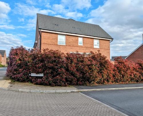 a brick house with red bushes in front of a street at Modern Comfy 3 Bed Home - Free 2 space driveway - Free road parking - Free Netflix in Derby
