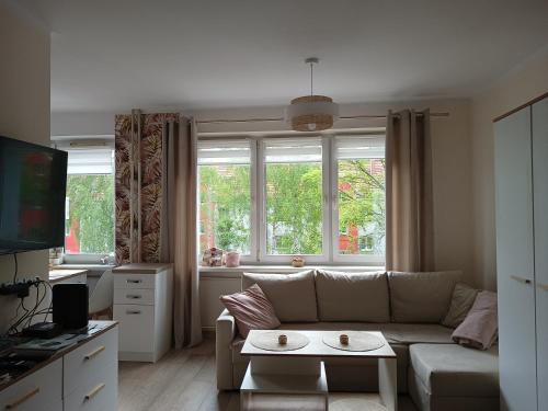 Μια τηλεόραση ή/και κέντρο ψυχαγωγίας στο Apartament w Srebrnym Mieście