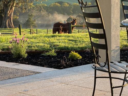 a rocking chair in front of a horse in a field at Wake Up to Stunning Views - Luxury Counrty Escape by Scotch Hill Truffle Farm in Neerim South