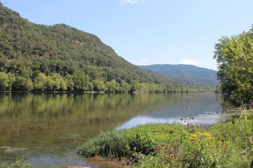 a view of a river with mountains in the background at Riverfront Property in NRG National Park near Sandstone Falls- Wi-Fi, Pet-Friendly in Hinton