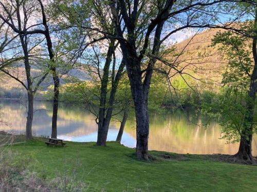 a park bench sitting in the grass near a lake at Riverfront Property in NRG National Park near Sandstone Falls- Wi-Fi, Pet-Friendly in Hinton