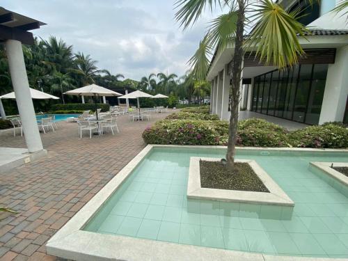 a swimming pool with a palm tree next to a building at Minisuite entrada lateral, seguridad y privacidad in SamborondÃ³n