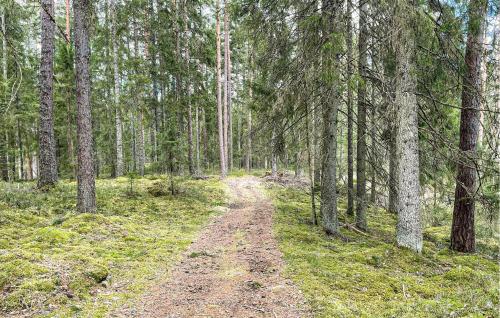 a dirt road in a forest with trees at 4 Bedroom Stunning Home In Åsenhöga in Åsenhöga
