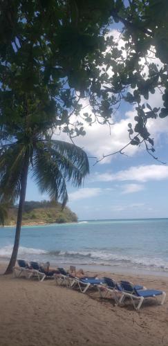 a group of people laying in lounge chairs on a beach at Saloma's ZionGates in Castries