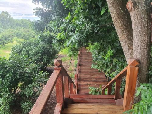 Zahrada ubytování Napahong Treehouse นาป่าฮง