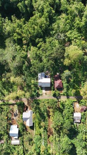 an overhead view of a house in the woods at Wisma PO'ONG in Ruteng