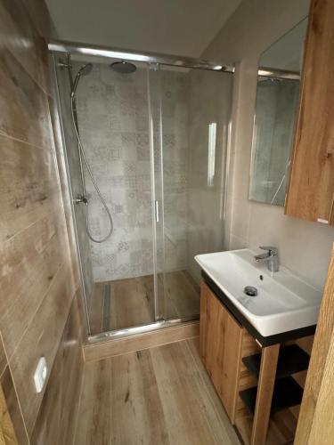 y baño con ducha y lavamanos. en Srbská Kamenice 22 en Srbská Kamenice