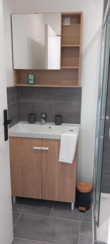 une salle de bain avec un lavabo et un miroir dans l'établissement La maisonnette cherbourgeoise, à Cherbourg en Cotentin