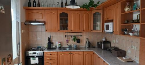 cocina con armarios de madera, fregadero y fogones en u Míši v Brdech en Příbram