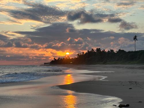 a sunset on a beach with a palm tree at Waves cabana kalametiya in Ranna
