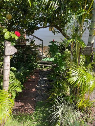 un sentiero da giardino con un cartello e alcune piante di Manapany ti coin charmant a Saint-Joseph