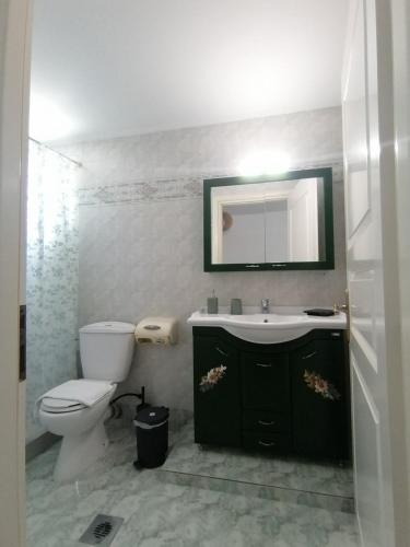 a bathroom with a toilet and a sink and a mirror at Villa Eleonas in Skala Kallirakhis
