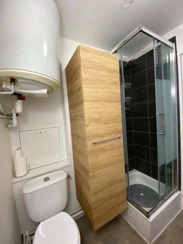 a small bathroom with a toilet and a shower at Solo ou Duo serré in Le Kremlin-Bicêtre
