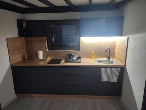 Kuhinja oz. manjša kuhinja v nastanitvi Accomodation Tanja studio