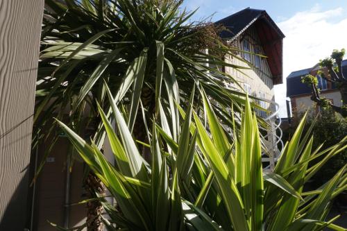 a palm tree in front of a building at Villa Les Bains in Houlgate